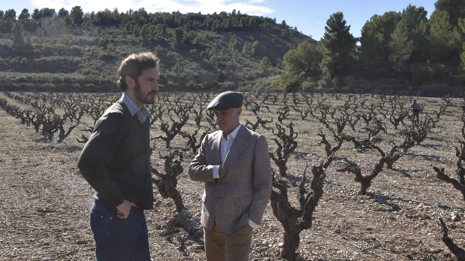 Les vinyes del Marquesat de Blai i Diego