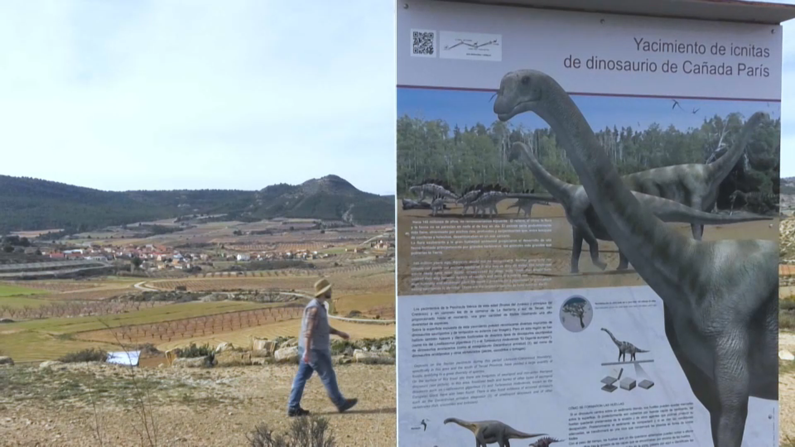 Jaciment dinosaures