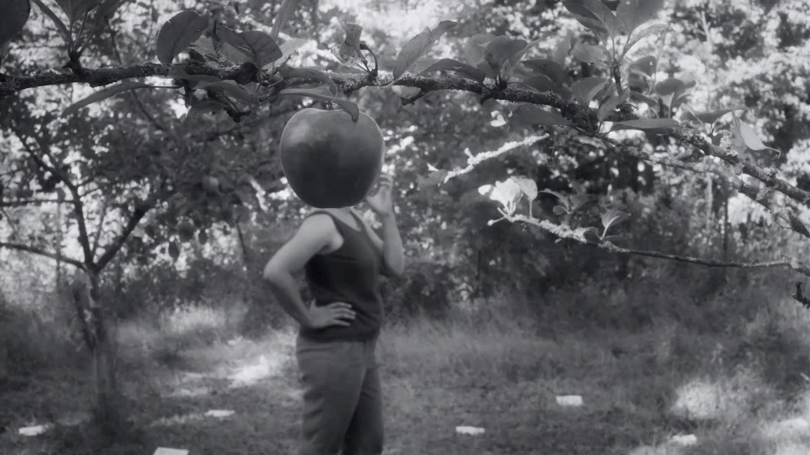 Fotograma d'Histoire d'entrejambes, migmetratge que inaugura el festival