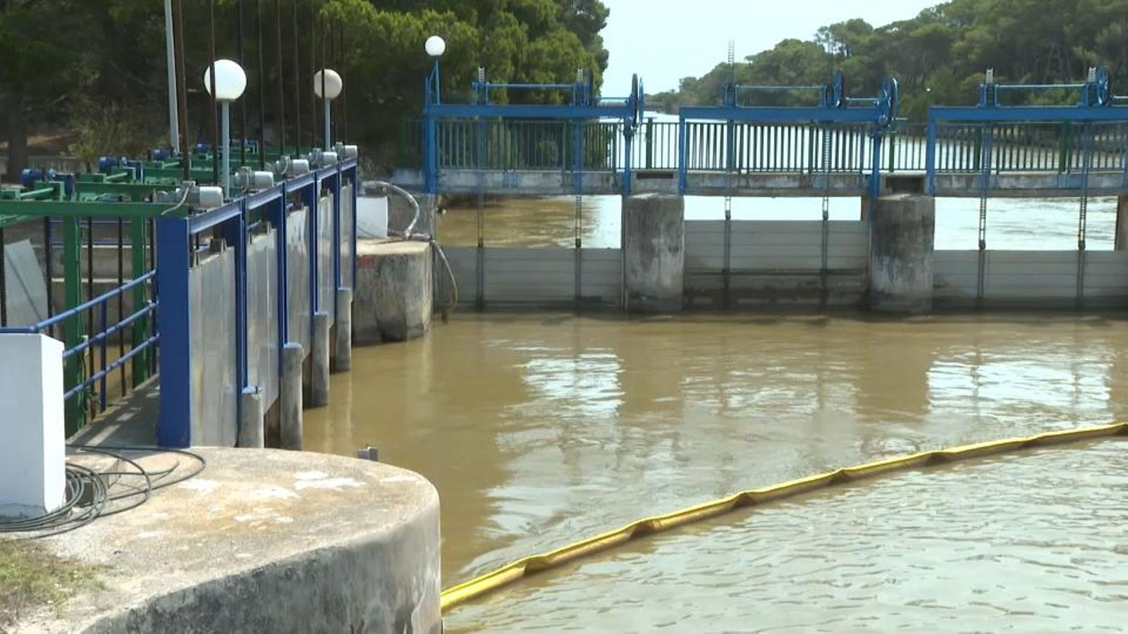 L'Albufera de València continua en alerta per elevades temperatures