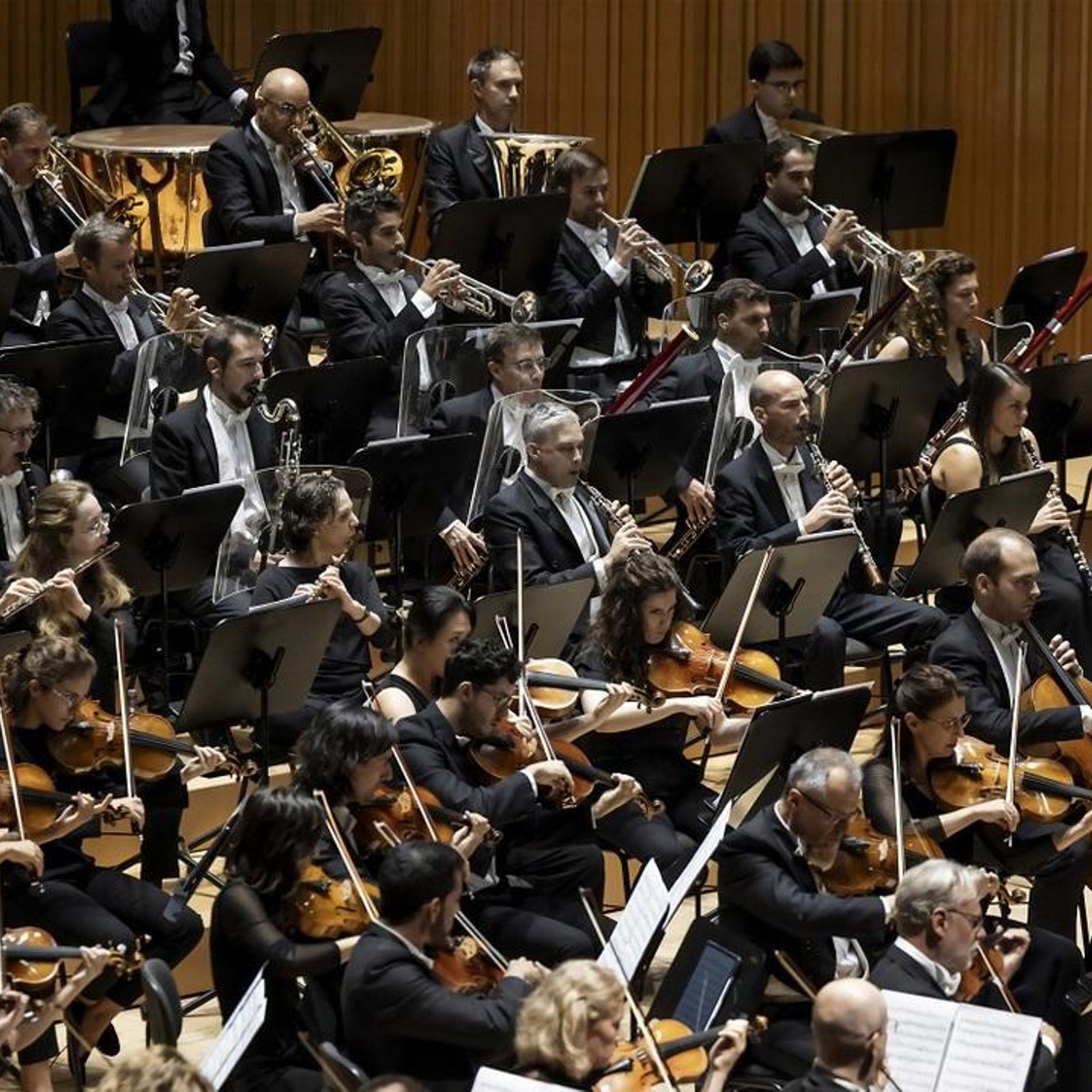 08.06.2025 | El musiquer 08.06.2025 | El musiquer